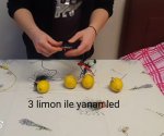 Limon Pili Deneyi
